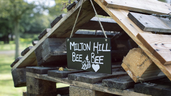 Milton Hill House Hotel - Close up of the bug hotel